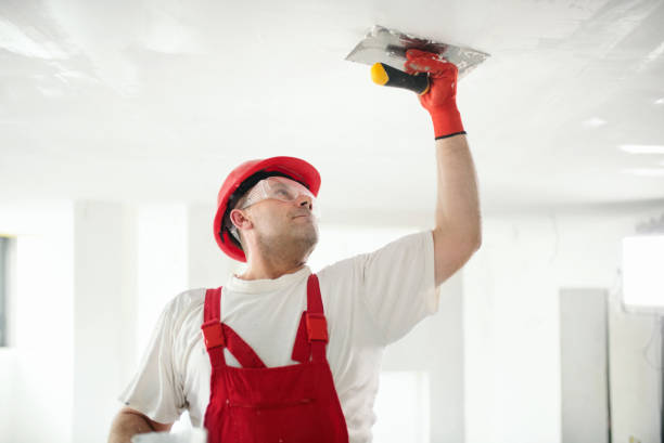 Amory, MS Mold Removal Company