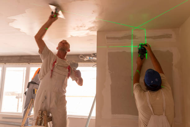 Best Mold Prevention Services  in Amory, MS