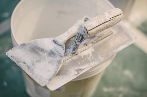 Best Mold Odor Removal Services  in Amory, MS
